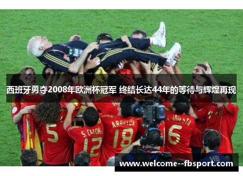 西班牙勇夺2008年欧洲杯冠军 终结长达44年的等待与辉煌再现