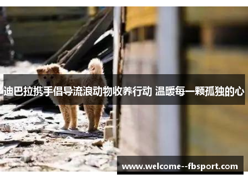 迪巴拉携手倡导流浪动物收养行动 温暖每一颗孤独的心 迪巴拉携手倡导流浪动物收养行动 温暖每一颗孤独的心